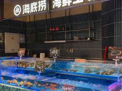 -海底捞火锅(长宁路龙之梦店)