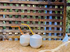 -春晖园度假酒店温泉