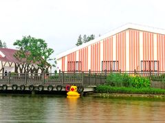 景点-上海长兴岛郊野公园