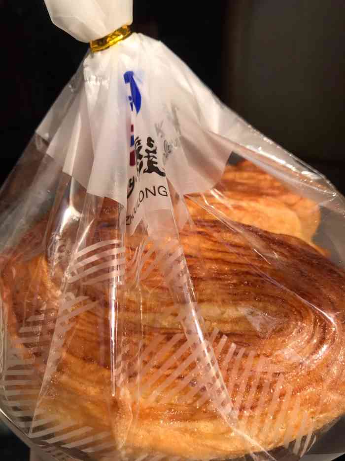 普普通通的贵州龙