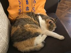 -隅cafe(傅厚岗店)