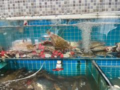 -仙螺岛海鲜自助餐厅(总店)