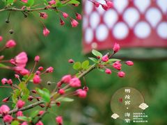 -明故宫遗址公园