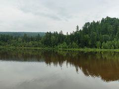 -五营红松林海景区