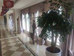 -昆明梦想医疗美容医院