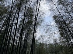 -天目湖涵田度假村