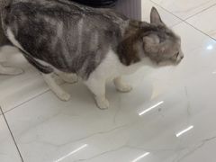 -谜盒子奇幻密室(南屏店)