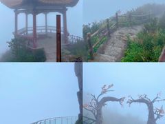 -金子山原生态旅游风景区
