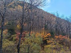 -叠溪松坪沟景区