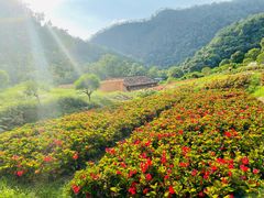-广州市石门国家森林公园