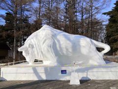 -长春市南湖公园