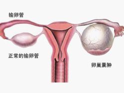 -邢台妇产医院
