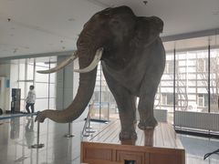 -吉林省自然博物馆