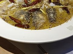 老坛酸菜鲈鱼-鱼库·不仅是一家烤鱼店(车公庙店)