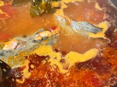 -毛辣果·酸(OHA复兴西路店)