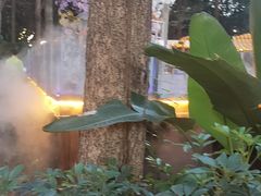 -二荆条·蜀鲜汇城市森林火锅