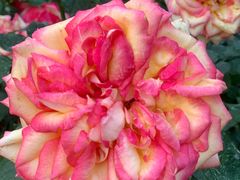 -人民公园(罗湖区)