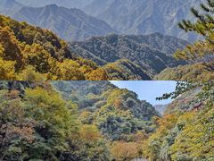 -西安祥峪森林公园