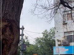 -马文章胖子甑糕(洒金桥店)