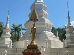 -西双版纳傣族园