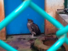 -广东茂名森林公园