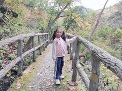 -三块石国家森林公园