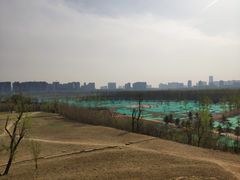 -汉长安城未央宫国家考古遗址公园