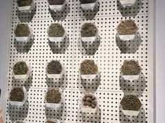 -中国茶叶博物馆(双峰馆区)