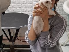 -十年猫舍·猫咪专门店(普陀店)
