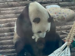 -大连森林动物园