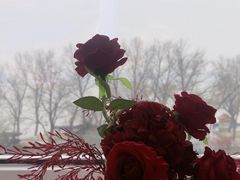 -圣彼得堡观江俄餐厅(中央大街黑金冠店)