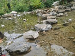 -幽岚山·童话森林