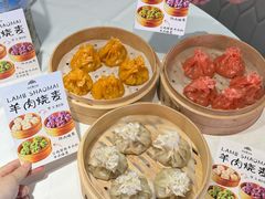-百彦蒙古包·碳烤羊排·手抓羊肉(万江首店)