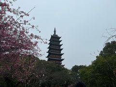 -常熟方塔园