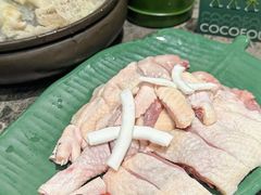 -百年果林椰子鸡(中洲店)