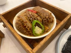 酱汁金钱肚-君海悦酒楼