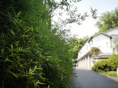 -凤凰御元艺术基地
