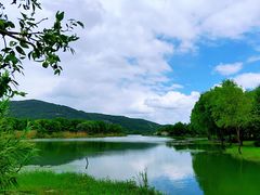 -长广溪湿地公园