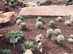 -南通洲际绿博园