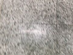 -咖啡之翼(奥特莱斯店)