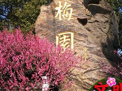 -无锡梅园公园