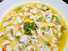 青花椒味砂锅鱼-青花椒花椒鱼(合生汇店)