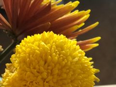 -南堂馆·新川菜(春熙路店)