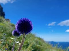 -白草畔自然风景区