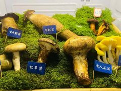 -束河人家(南锣鼓巷店)