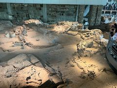 -自贡恐龙博物馆