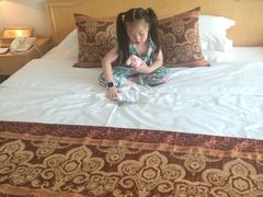 -南京维景国际大酒店(南京博物院店)