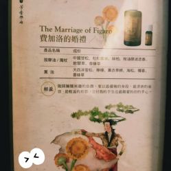 -芳香乐府疗愈空间·SPA·冥想