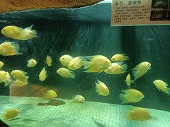 -南昌动物园