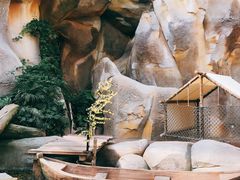 -杭州开元森泊度假乐园